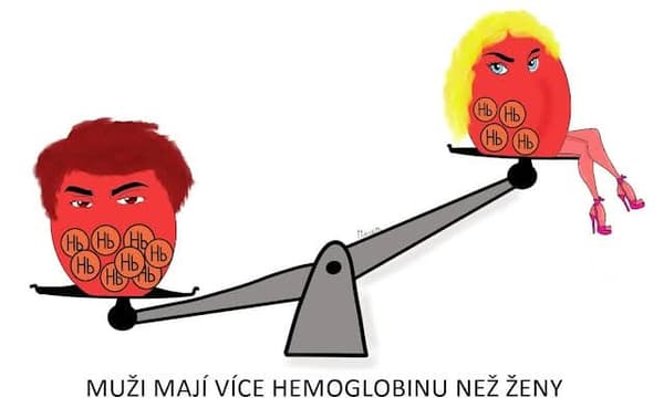 Kvíz fyziologie krve