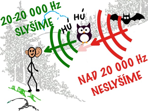 Kvíz biofyzika